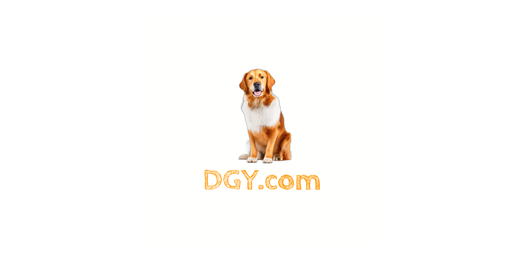 dgy.com logo